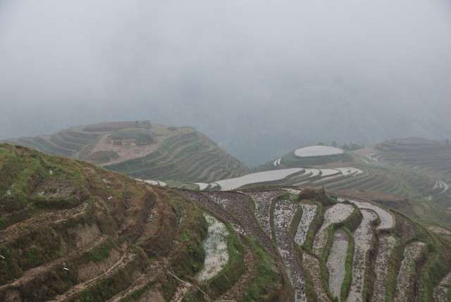 La Terrazas de Arroz de Longji en palanquín. - China milenaria (15)